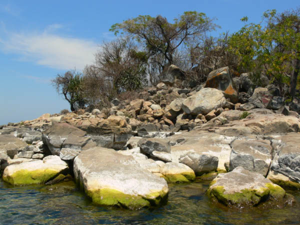 P1200420