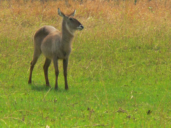 P1200527_bearbeitet-1