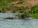 P1200473_bearbeitet-1