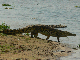 P1200492_bearbeitet-1