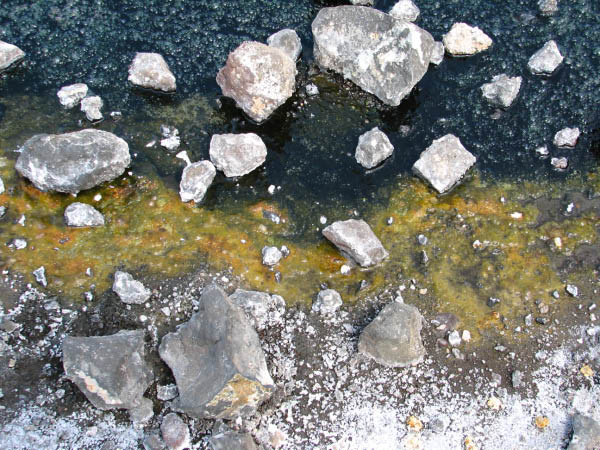 IMG_7353-1
