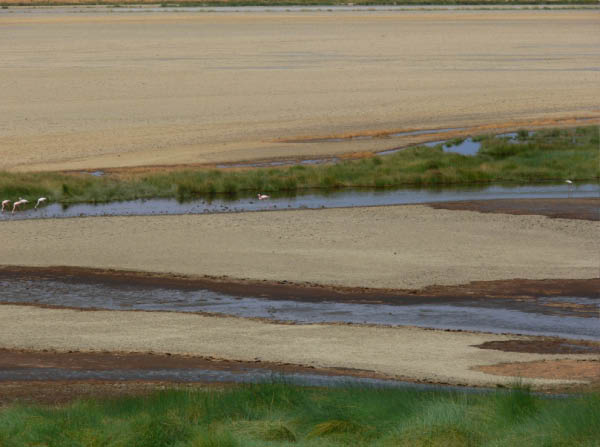 P1140972-1_bearbeitet-1