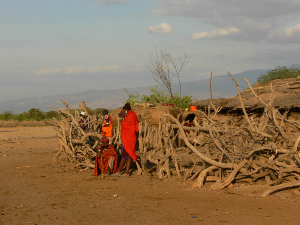 P1150063-1