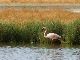 IMG_7164-1_bearbeitet-2