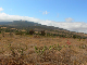 P1140594-1