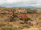 P1140597-1