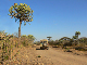 P1140617-1_bearbeitet-1