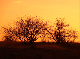 P1140694-1_bearbeitet-1