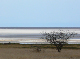 P1140792-1_bearbeitet-1