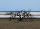 P1140793-1_bearbeitet-1