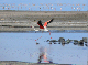 P1140847-1_bearbeitet-1
