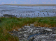 P1140876-1