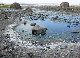 P1140882-1_bearbeitet-1