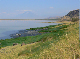 P1140936-1_bearbeitet-1
