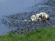 P1140941-1_bearbeitet-1