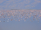 P1140942-1_bearbeitet-1