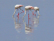 P1140952-1_bearbeitet-1