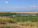 P1140968-1_bearbeitet-1
