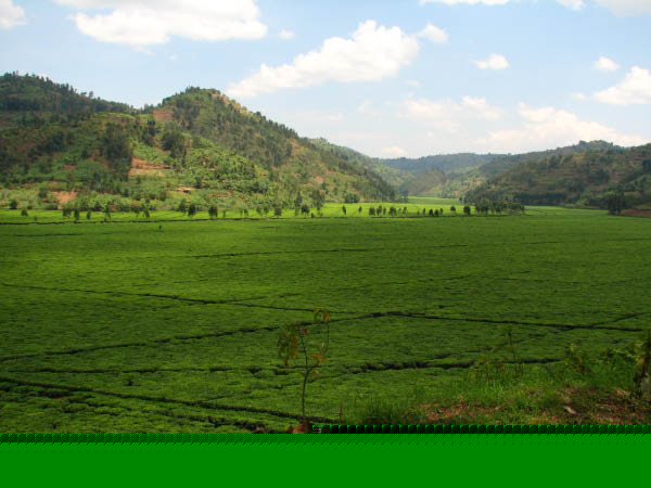 ruanda-07