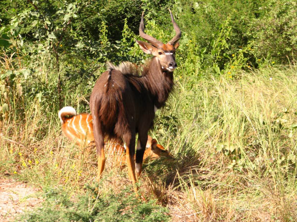 simbabwe-32