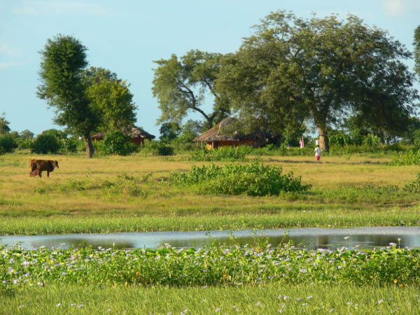 simbabwe-42
