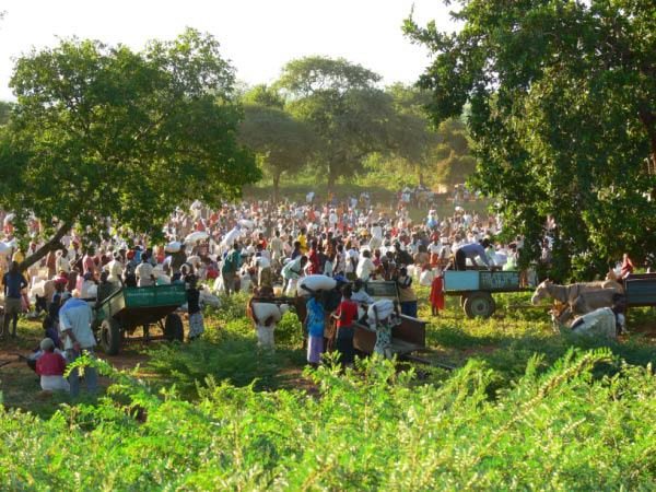 simbabwe-44