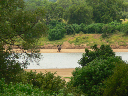 simbabwe-30