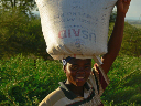 simbabwe-46