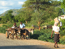 simbabwe-49