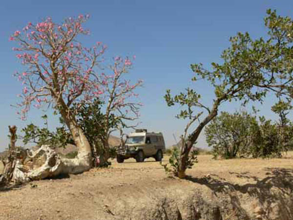sudan04-1