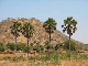 sudan03-2