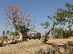 sudan04-1