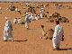 sudan09-1