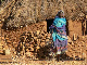 sudan09-2