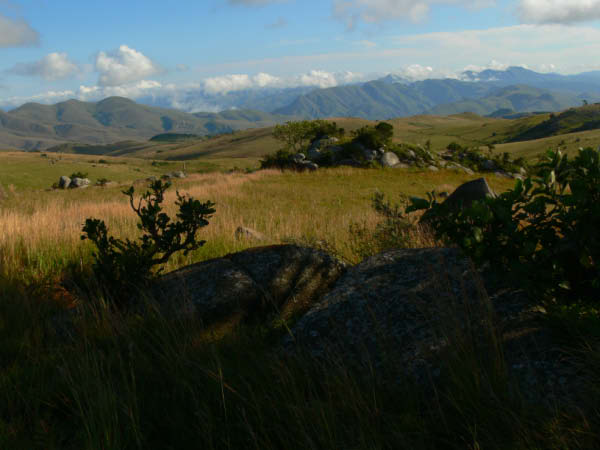 swasiland-11