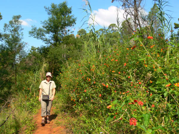 swasiland-27