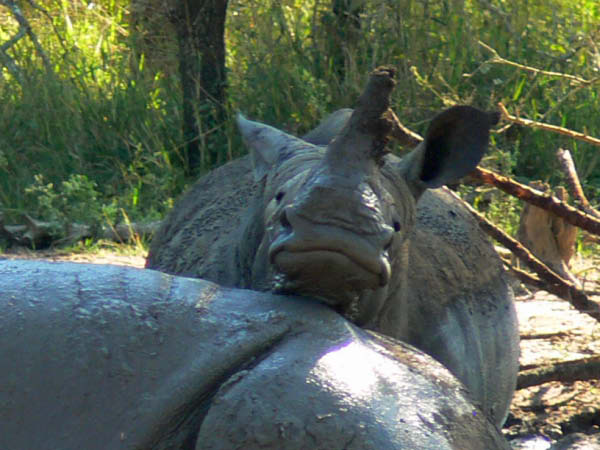 swasiland-35