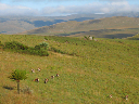 swasiland-03