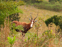 swasiland-05