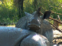 swasiland-35
