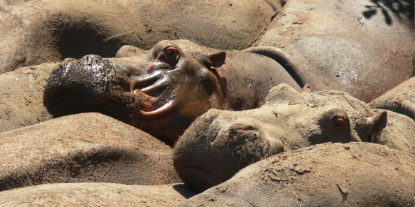 P1200067_bearbeitet-1