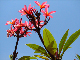 IMG_2057