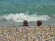 P1200110_bearbeitet-1