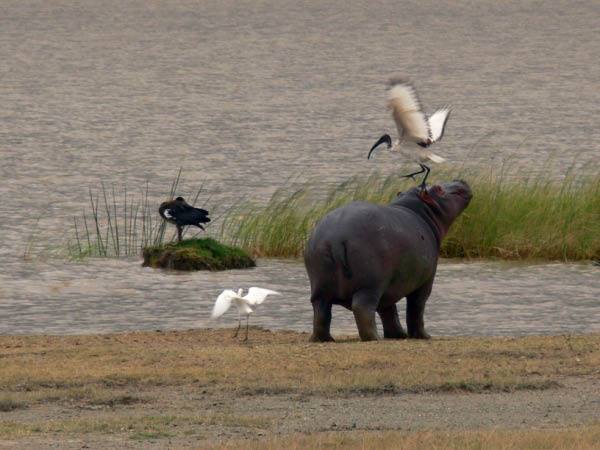 P1130702_bearbeitet-1-1