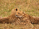 IMG_8450_bearbeitet-1