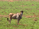 IMG_9098_bearbeitet-2