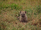 IMG_9304_bearbeitet-1