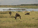 P1130795-1_bearbeitet-1
