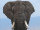P1130846-1_bearbeitet-1