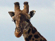 P1130872-1_bearbeitet-2